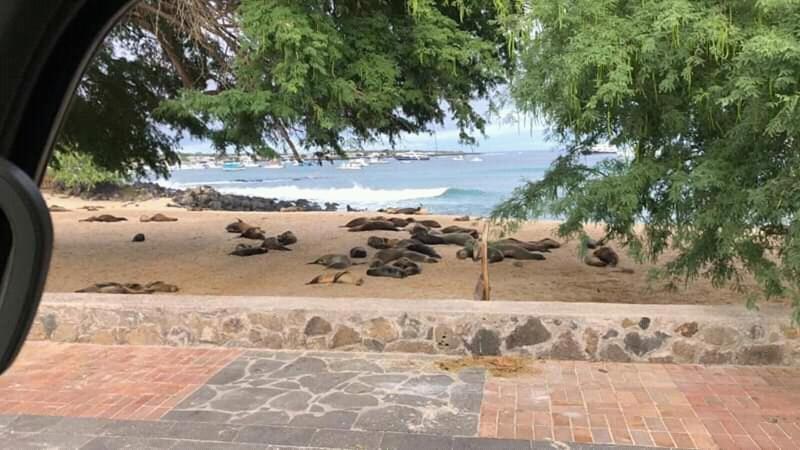 Hostal Albatros San Cristóbal Luaran gambar